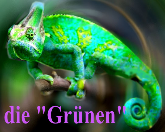 grnes Chamleon